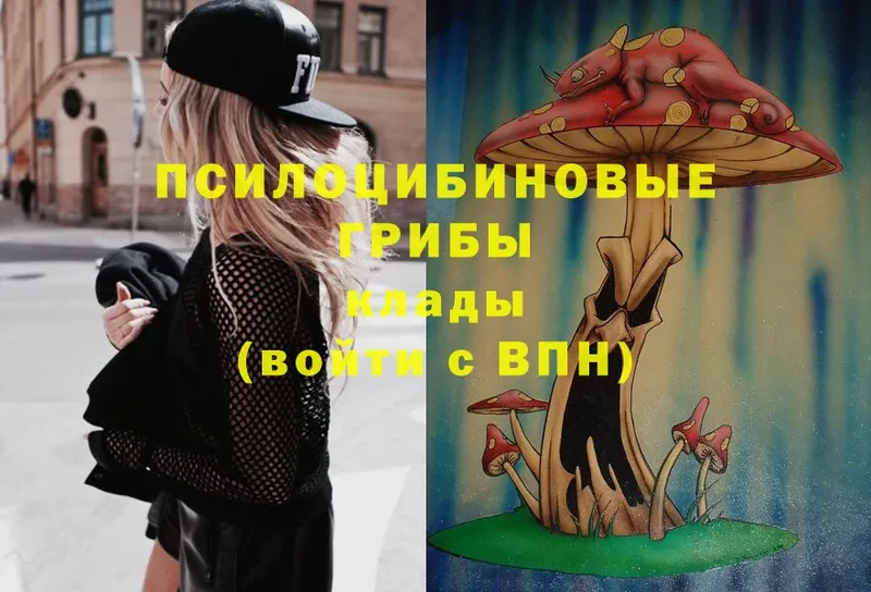 Галлюциногенные грибы Psilocybe  Ревда 